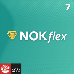 NOKflex Matematik 7