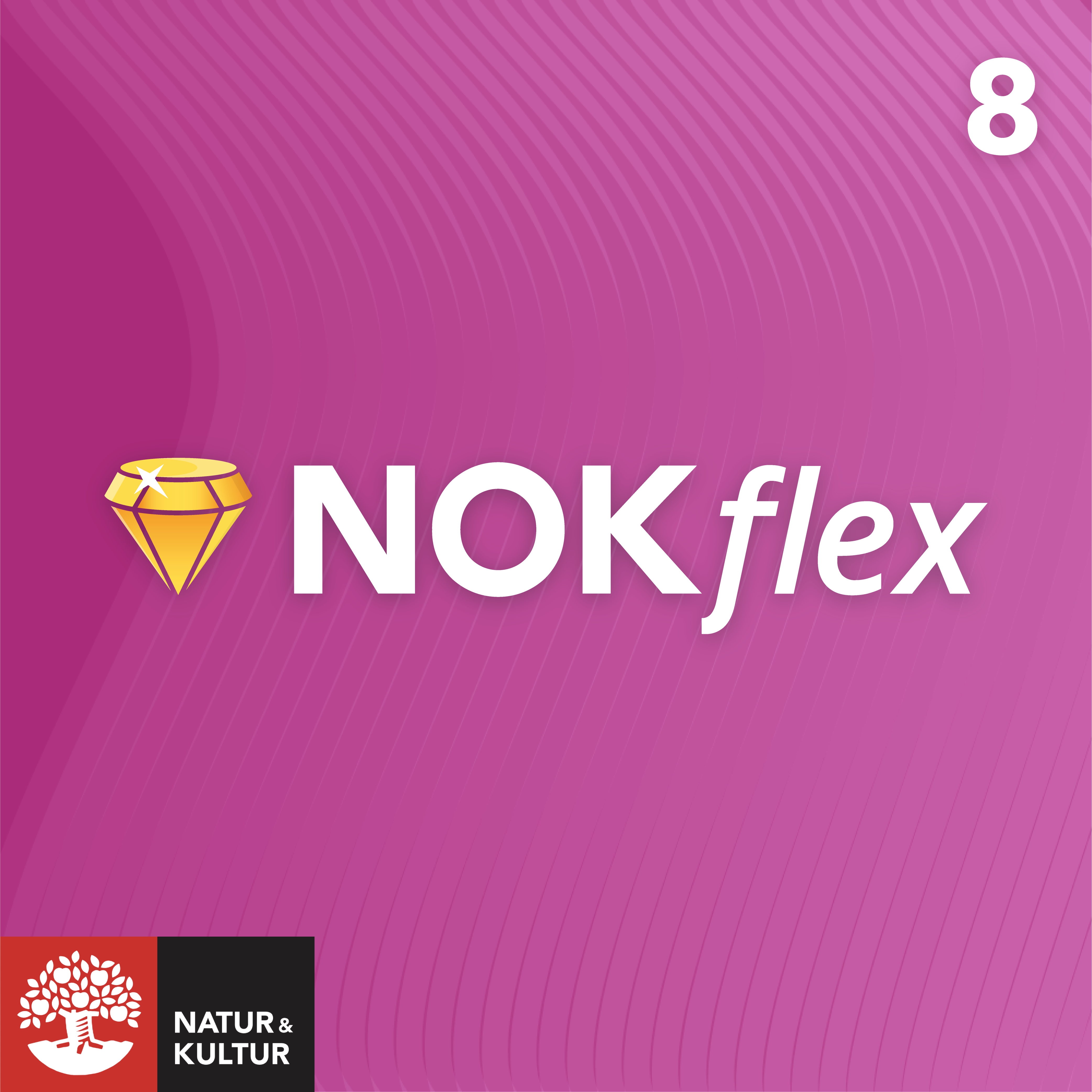 NOKflex Matematik 8