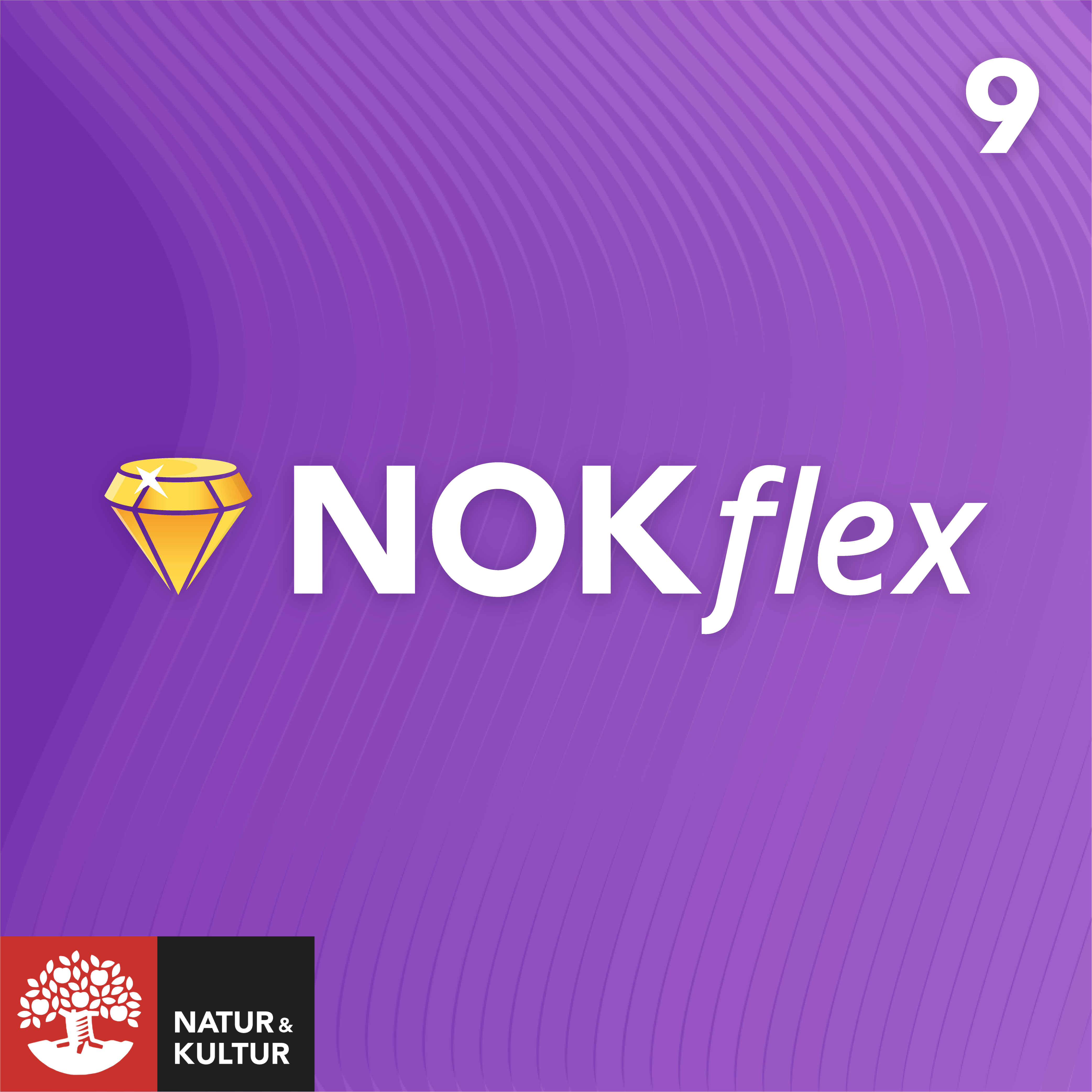 NOKflex Matematik 9, Elev