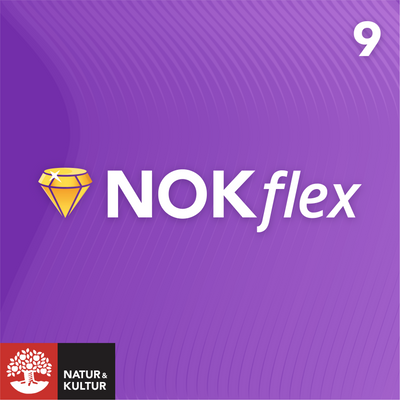 NOKflex Matematik 9