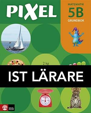 Pixel 5B Grundbok IST