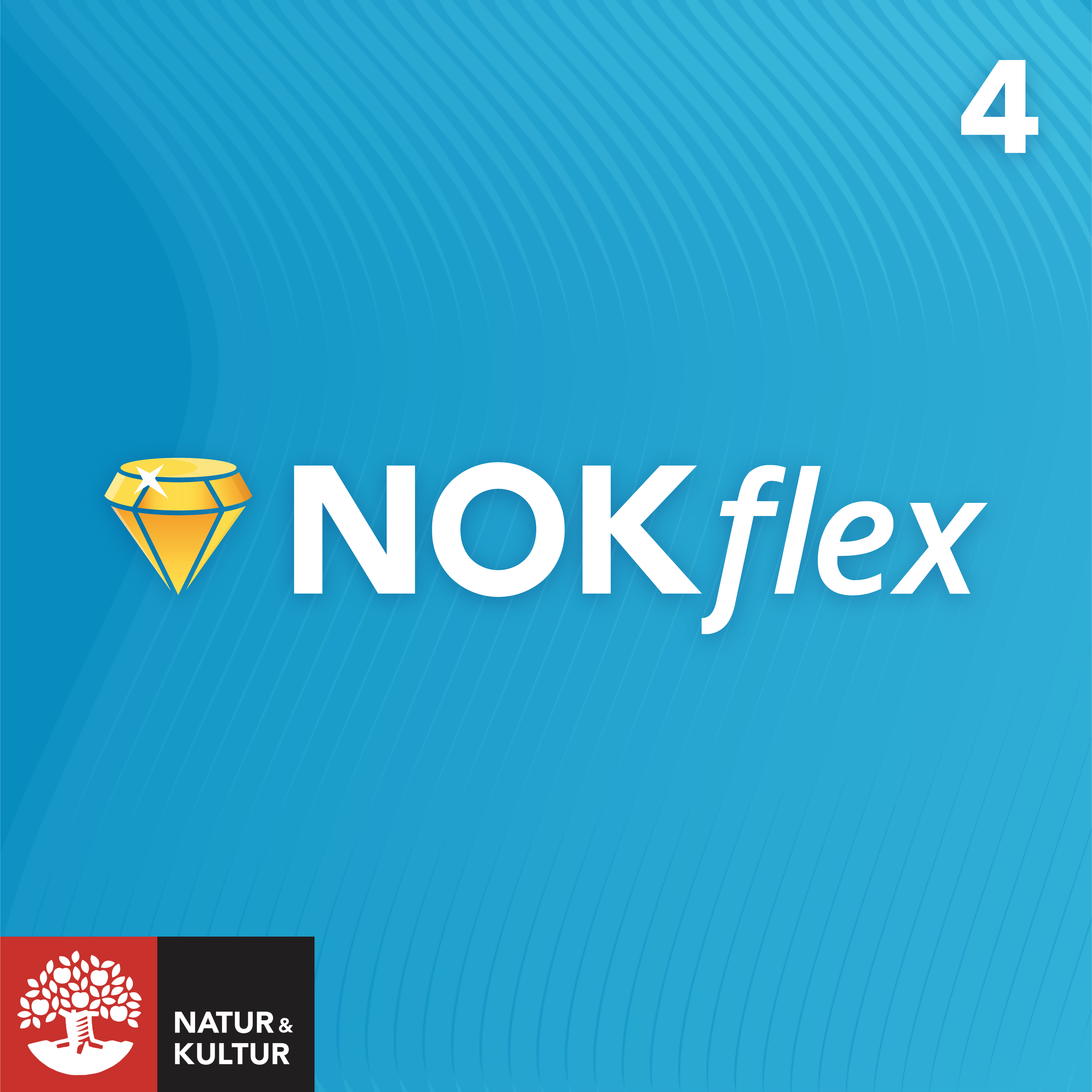 NOKflex Matematik 4