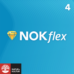 NOKflex Matematik 4