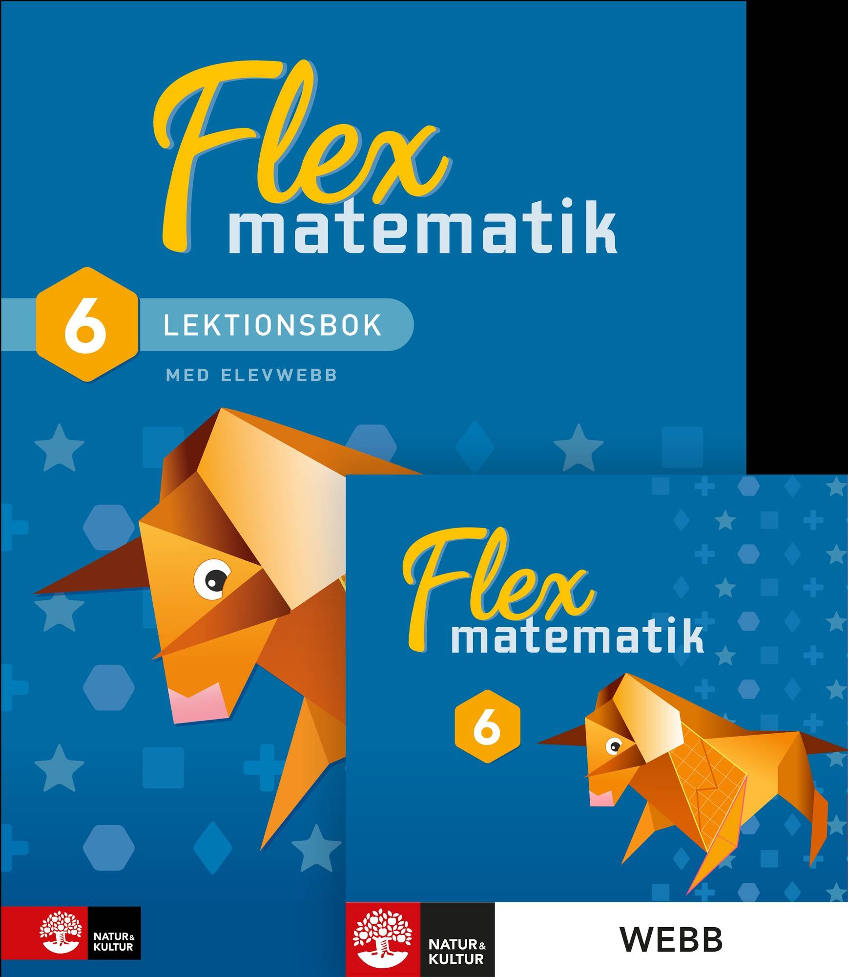 Flex Matematik åk 6 Lektionsbok + webb