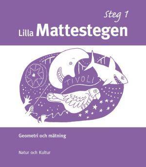 Lilla mattestegen. Geometrihäfte. Steg 1