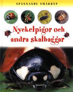 Spännande småkryp Nyckelpigor och andra skalbaggar