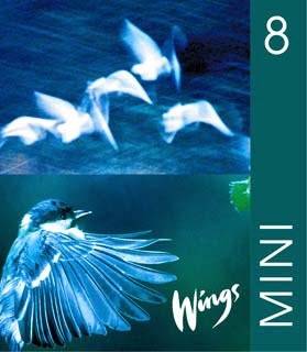 Wings Mini. 8, Elevbok
