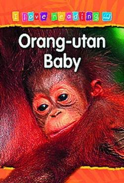I love reading Orang-utan Baby