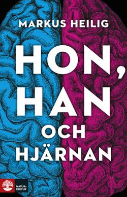 Hon, han och hjärnan