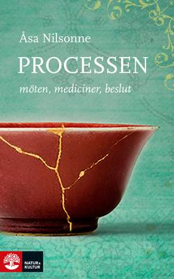 Processen : Möten, mediciner, beslut