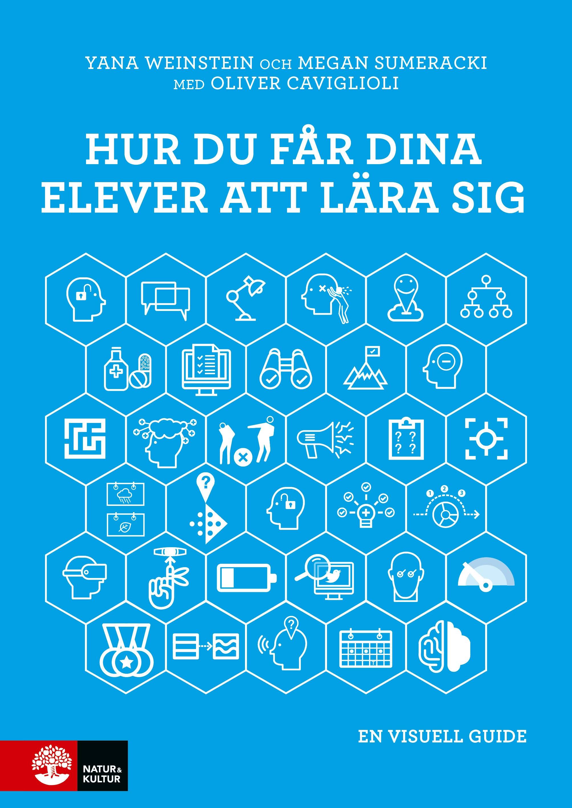 Hur du får dina elever att lära sig : en visuell guide