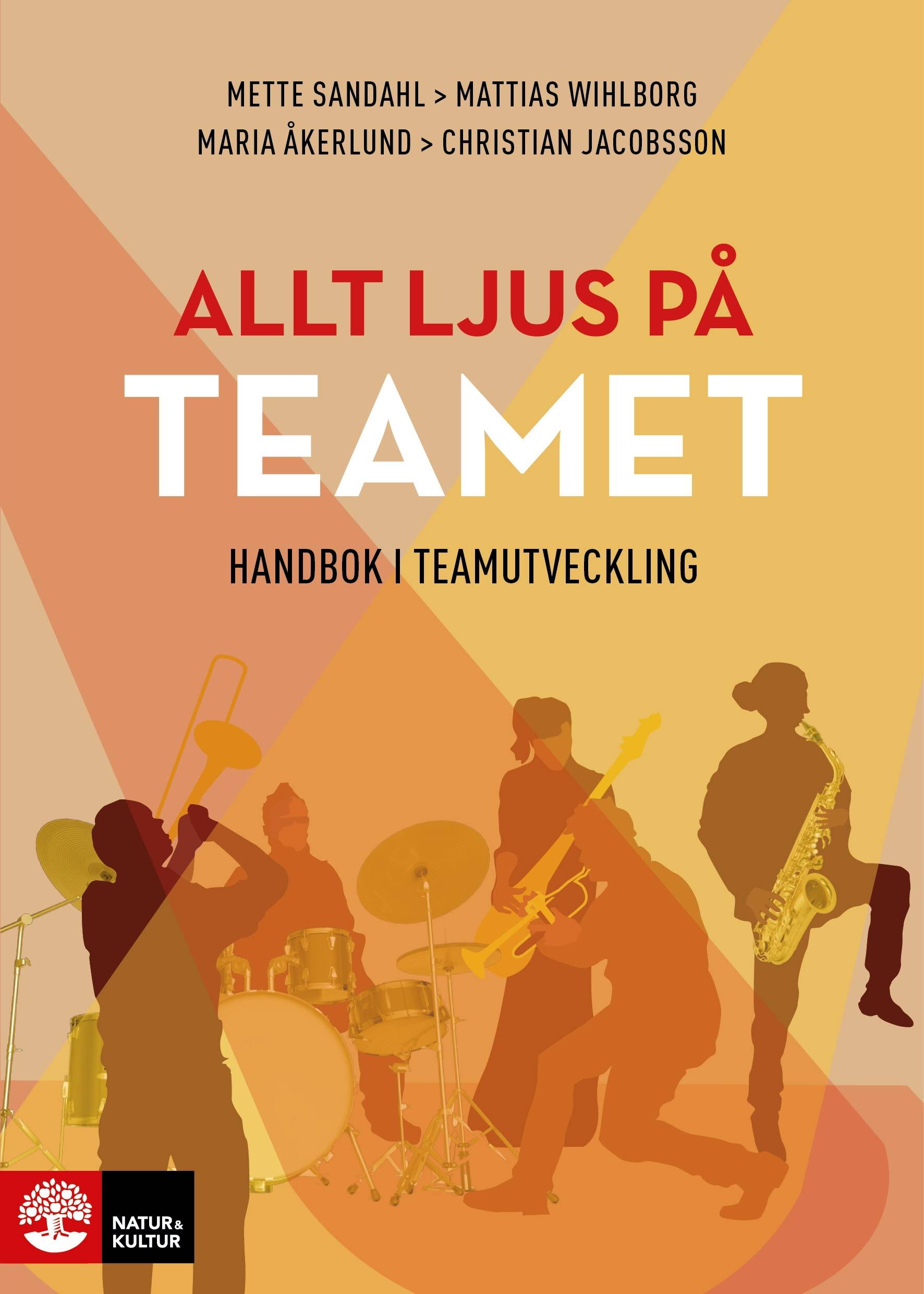 Allt ljus på teamet : en handbok för teamutveckling