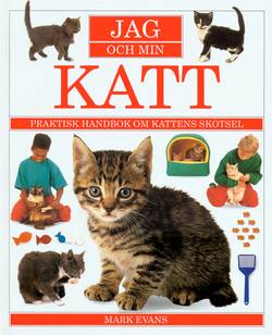 Jag och min katt : praktisk handbok om kattens skötsel