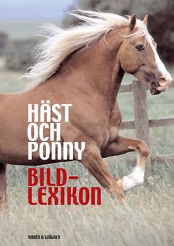Häst och ponny : bildlexikon