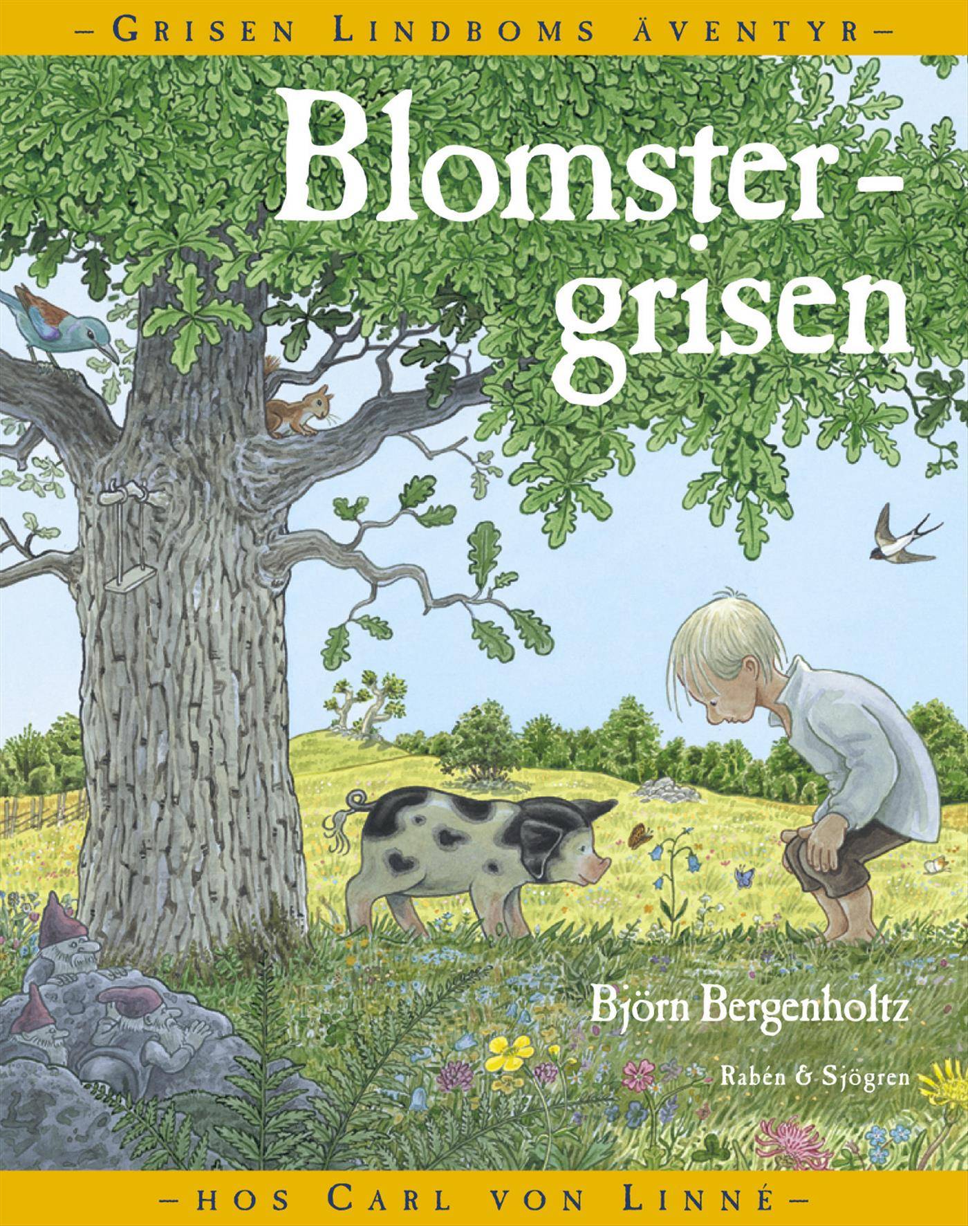 Blomstergrisen : Grisen Lindboms äventyr med Carl von Linné