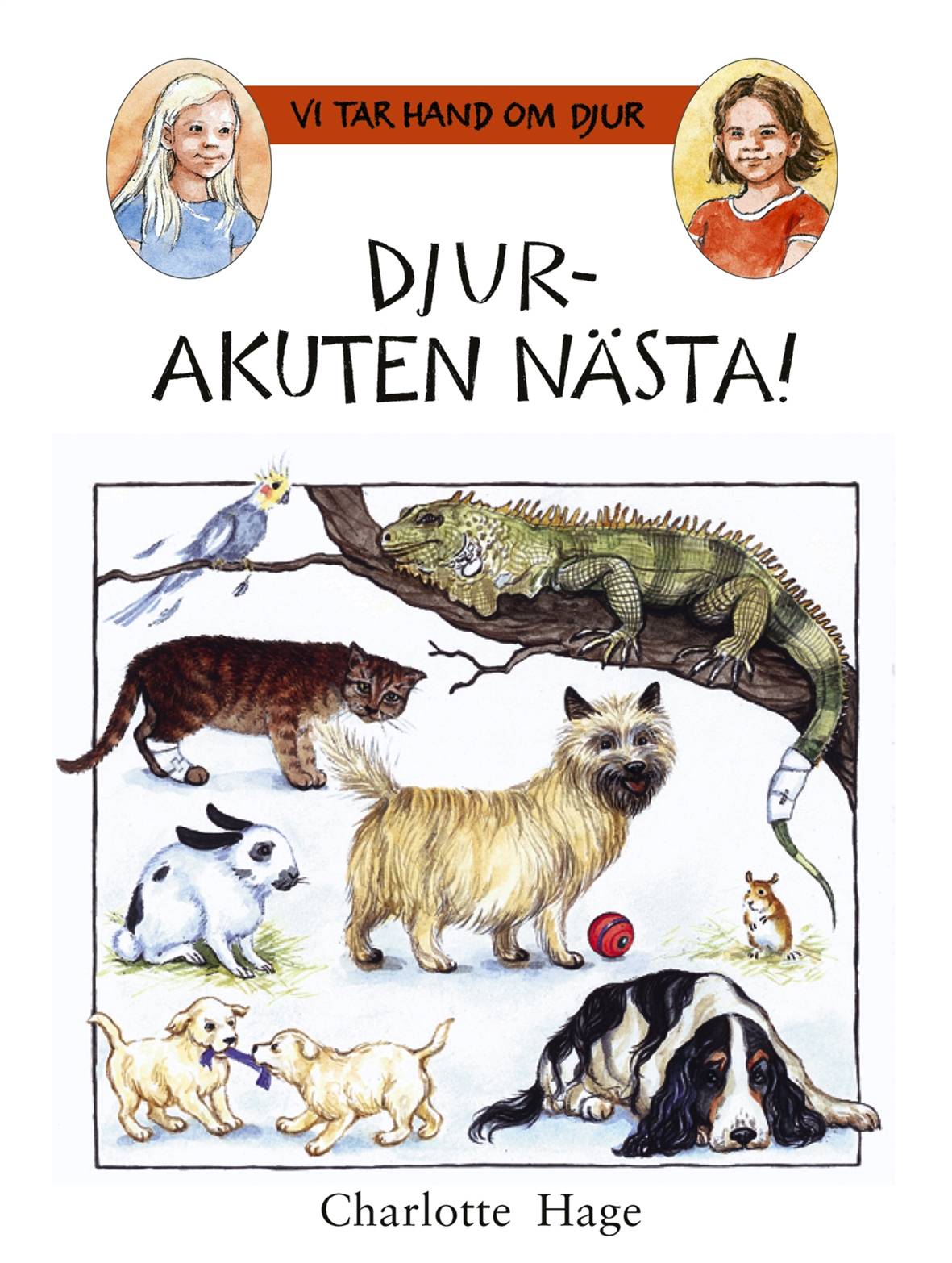 Djurakuten nästa!