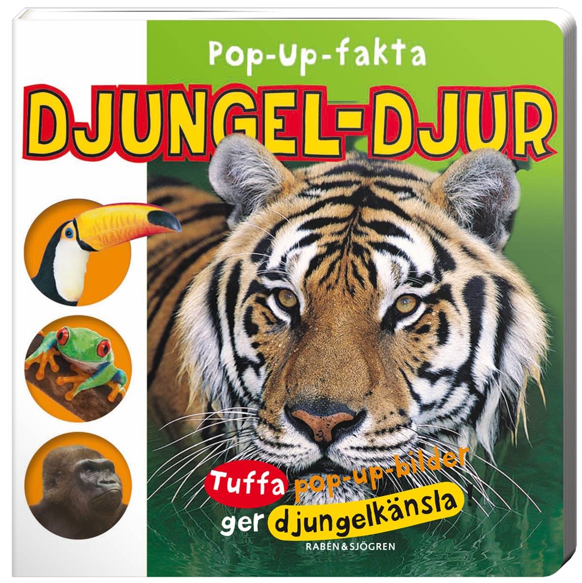 Pop-up-fakta Djungel-djur : tuffa pop-up-bilder ger djungelkänsla!