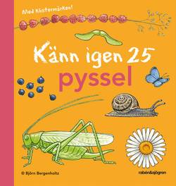 Känn igen 25 pyssel