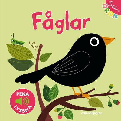 Fåglar. Peka - lyssna