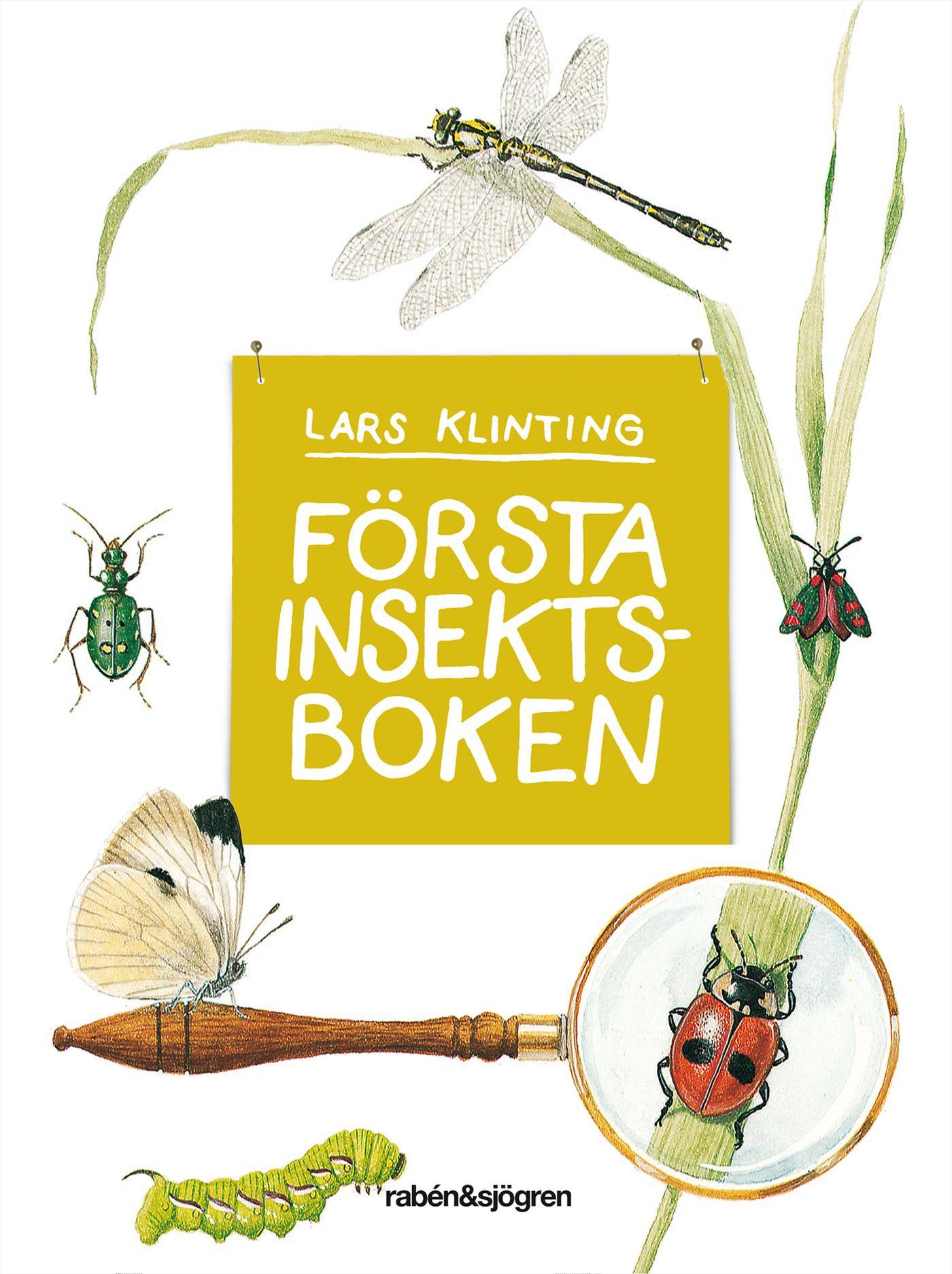 Första insektsboken