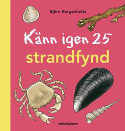 Känn igen 25 strandfynd