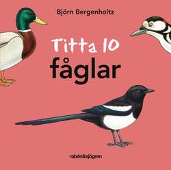 Titta 10 fåglar