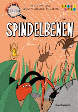 Spindelbenen