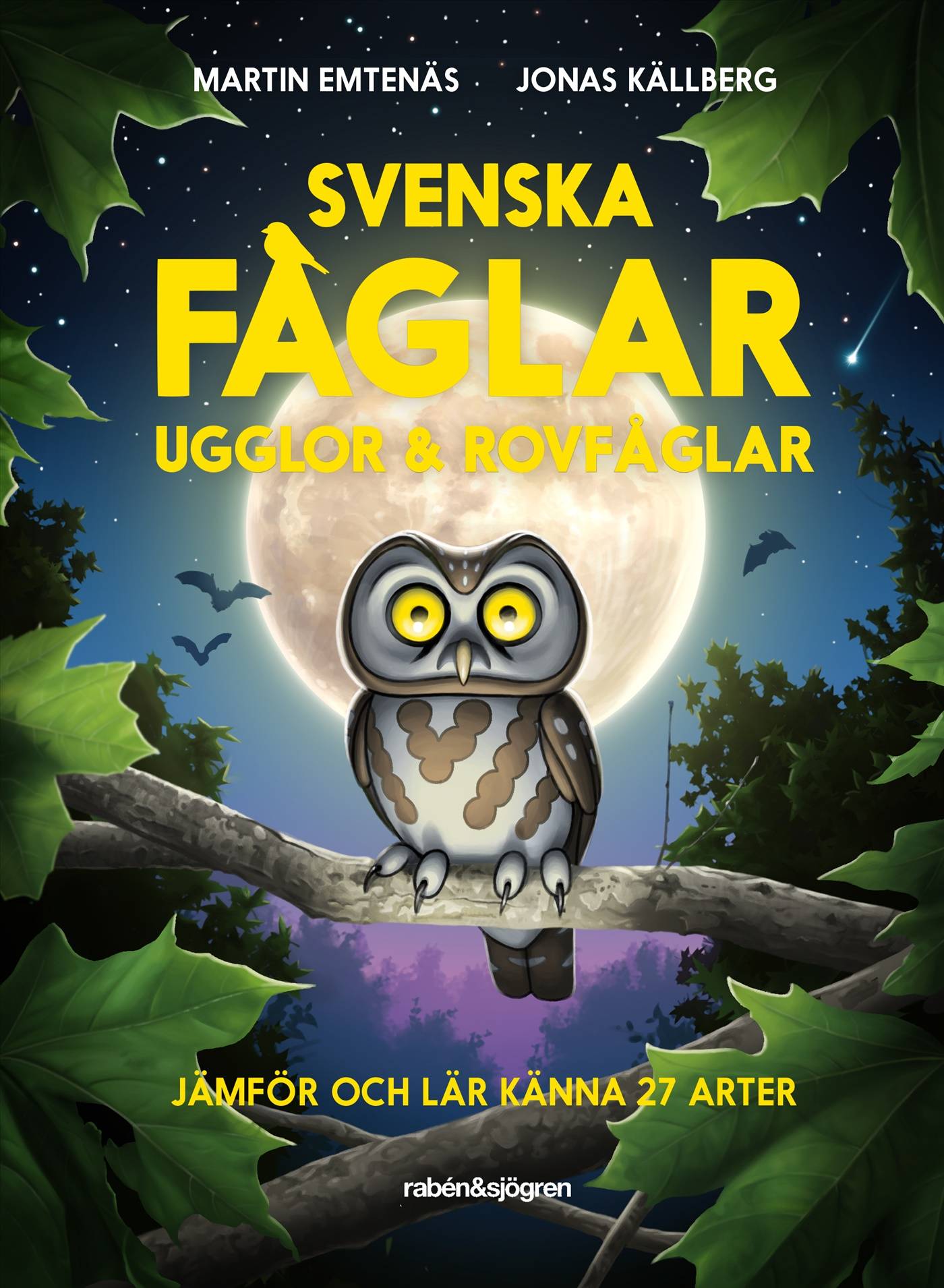 Svenska fåglar : ugglor och rovfåglar : jämför och lär känna 29 arter
