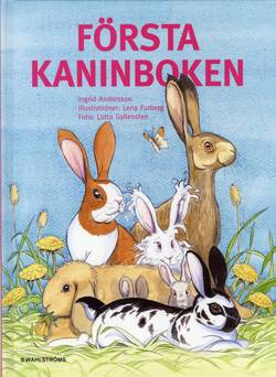 Första kaninboken