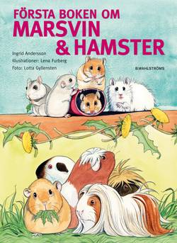 Första boken om marsvin & hamster