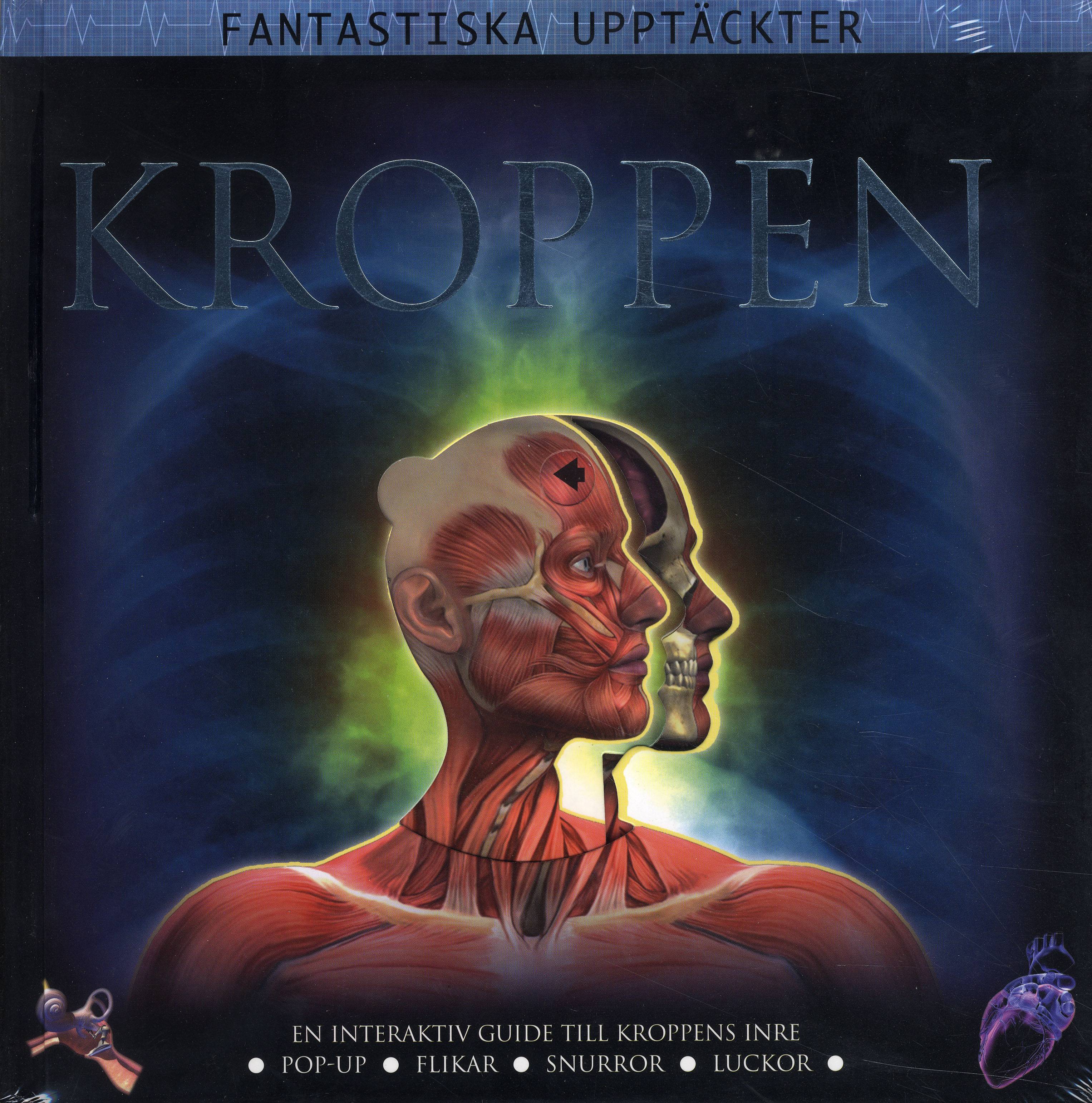 Kroppen