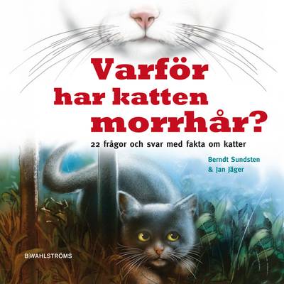 Varför har katten morrhår? : 22 frågor och svar med fakta om katter