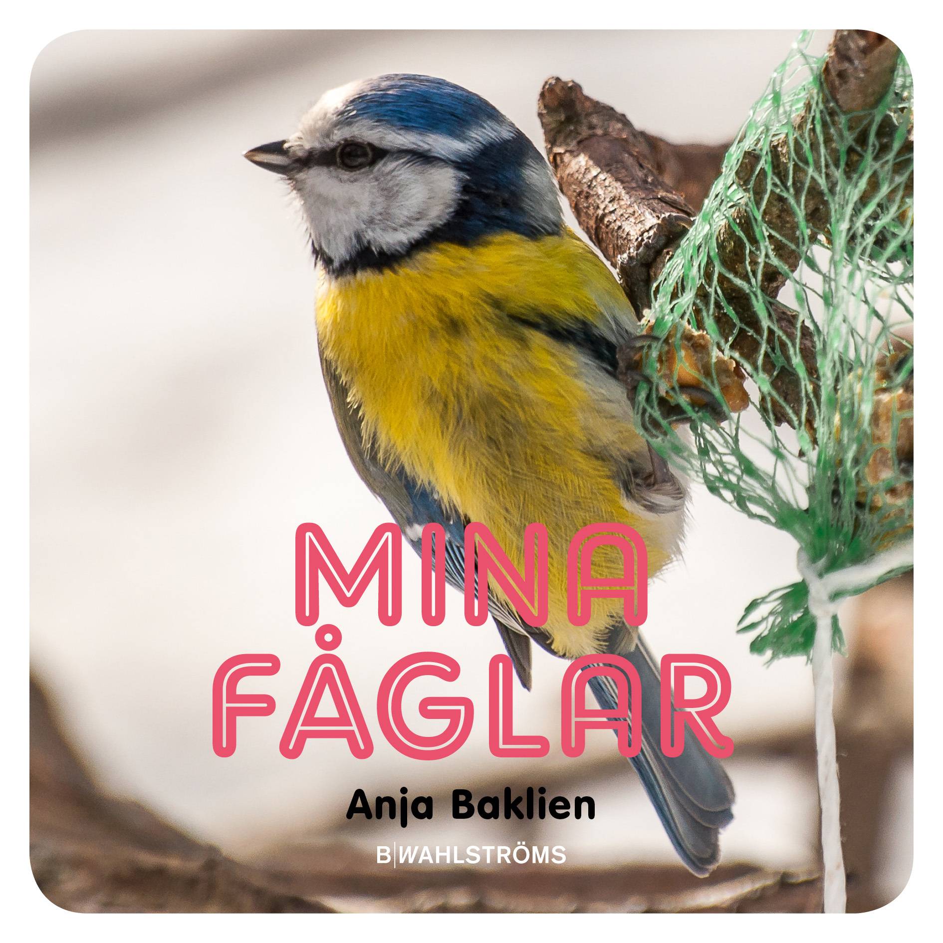 Mina fåglar