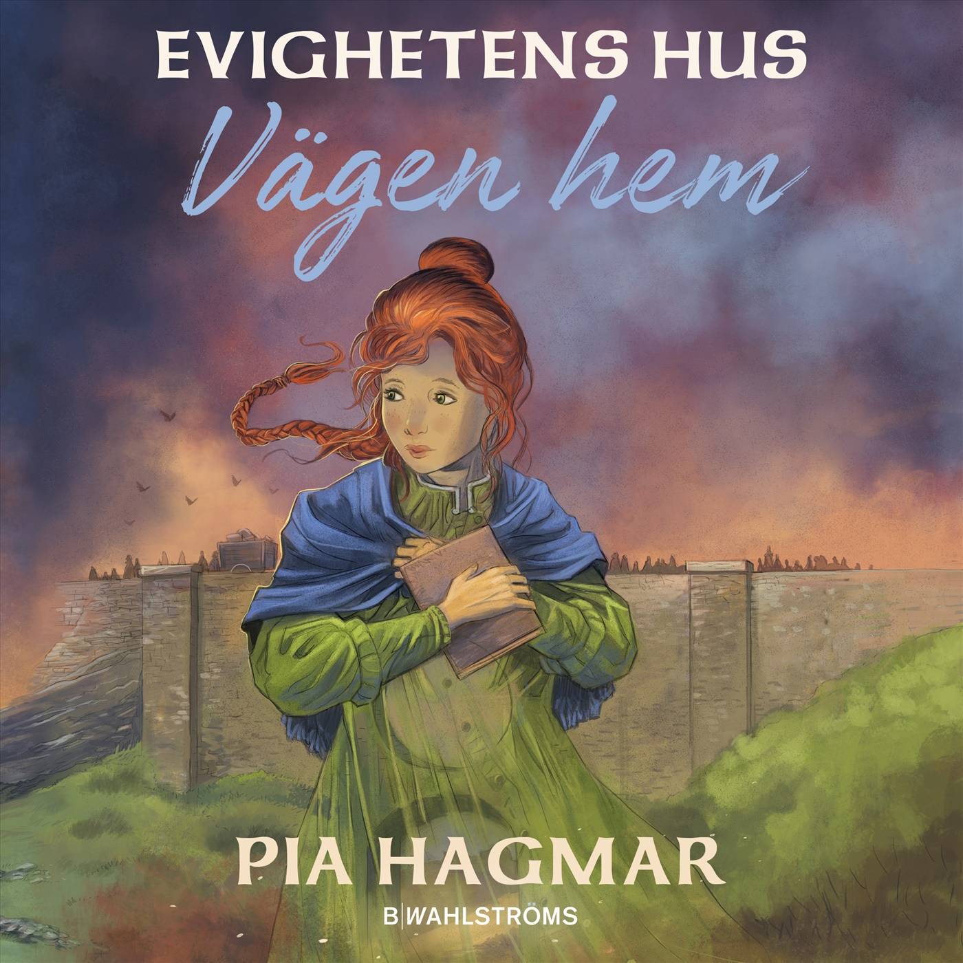 Vägen hem