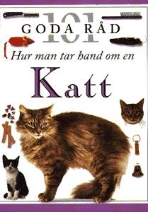 Katt