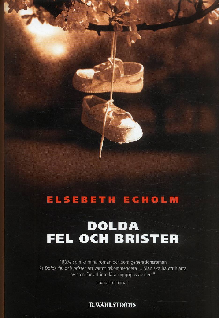 Dolda fel och brister