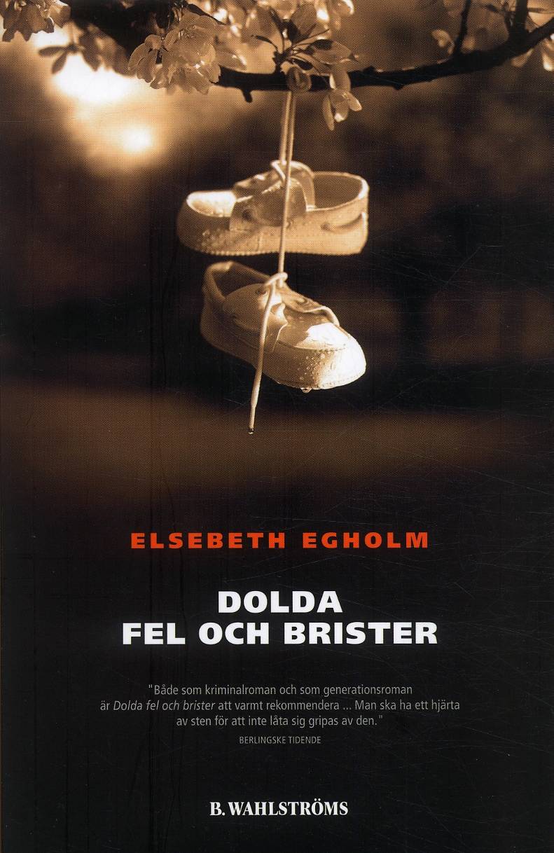 Dolda fel och brister