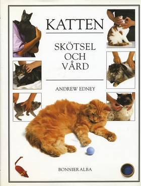 Katten - Skötsel och vård