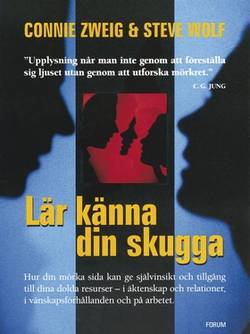 Lär känna din skugga