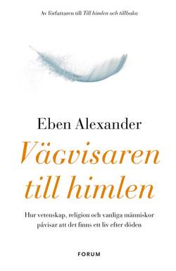 Vägvisaren till himlen : hur vetenskap, religion och vanliga människor påvisar att det finns ett liv efter döden