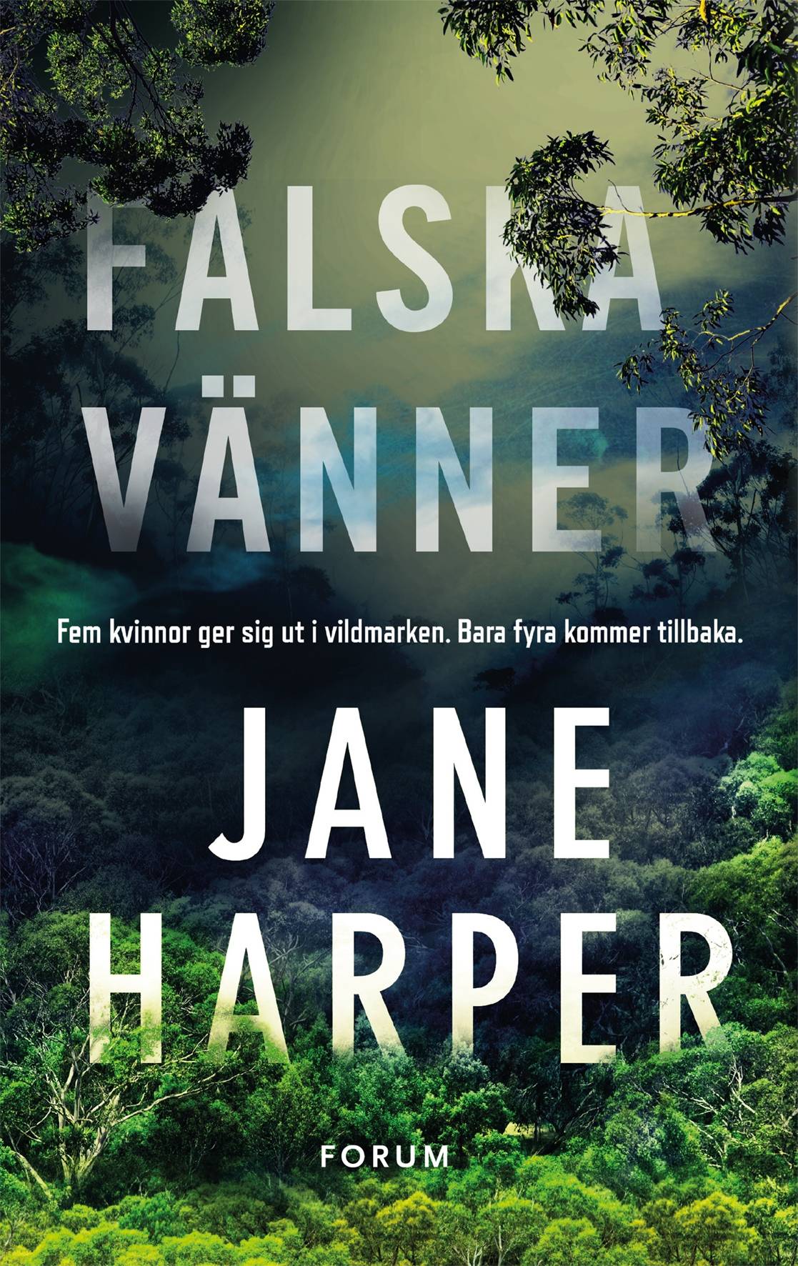 Falska vänner