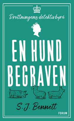 En hund begraven