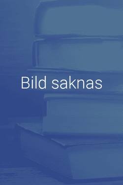 Socialtjänstens insatser för barn och unga : En introduktion