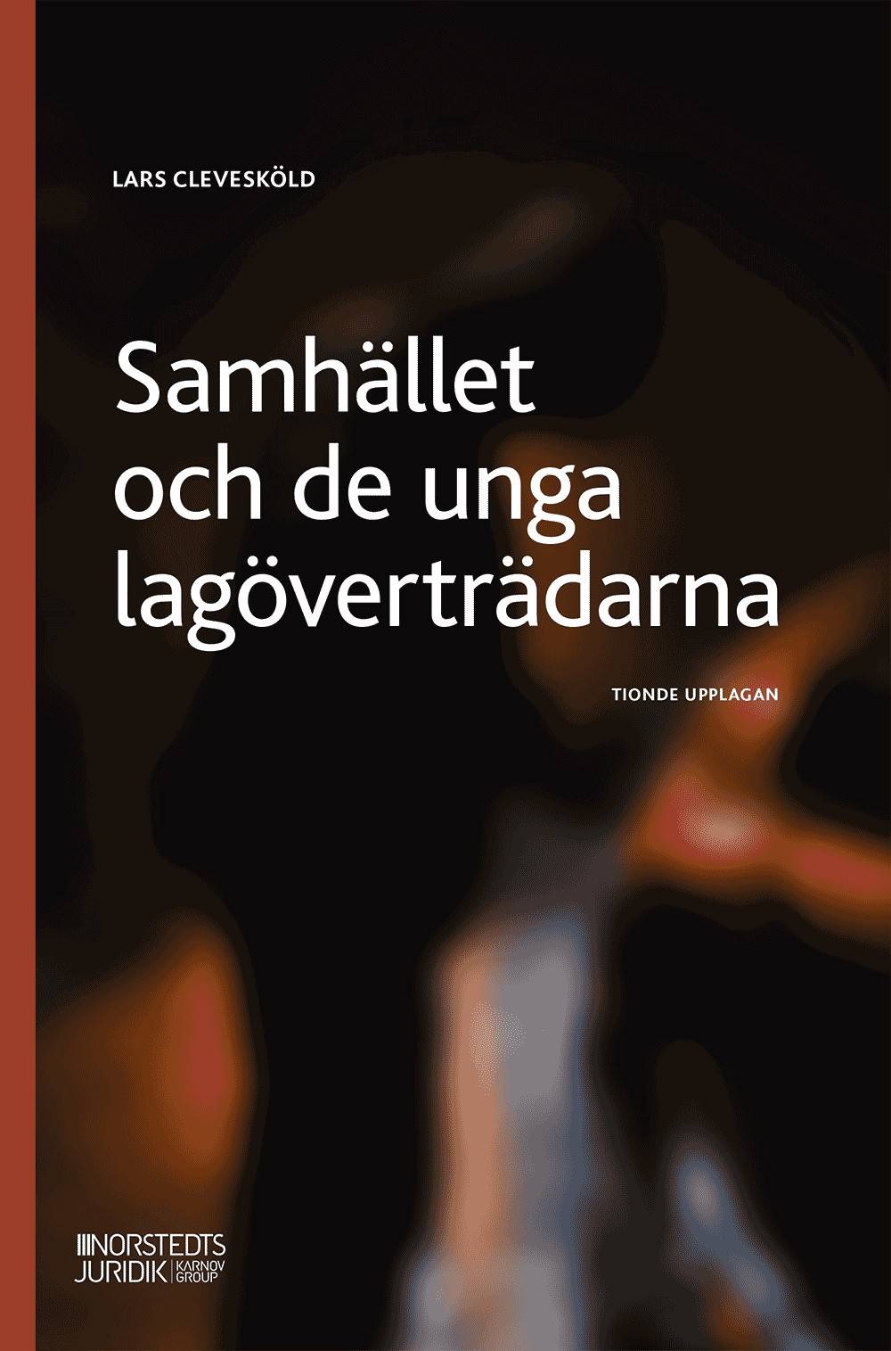 Samhället och de unga lagöverträdarna