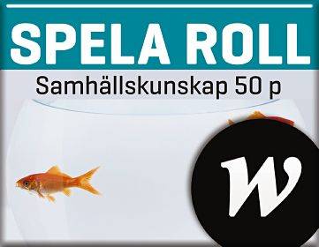 Spela Roll 50p Lärarwebb Individlicens 12 mån