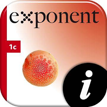 Exponent 1c, digital, elevlic, 12 mån