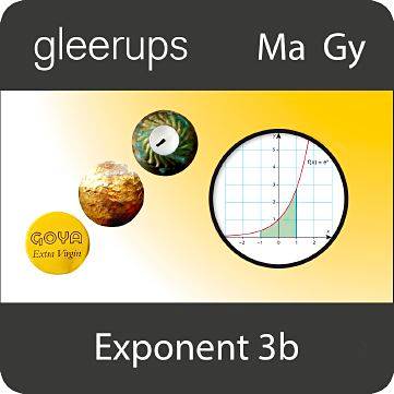 Exponent 3b, digitalt läromedel, elev, 12 mån