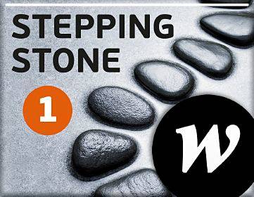 Stepping Stone 1 Elevwebb skollicens 3:e uppl