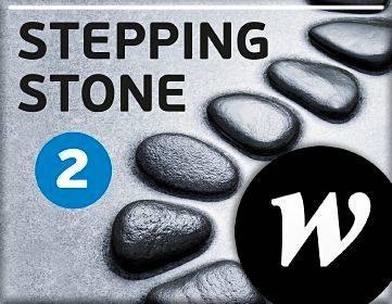 Stepping Stone 2 Elevwebb skollicens 3:e uppl