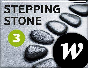 Stepping Stone 3 Elevwebb skollicens 3:e uppl